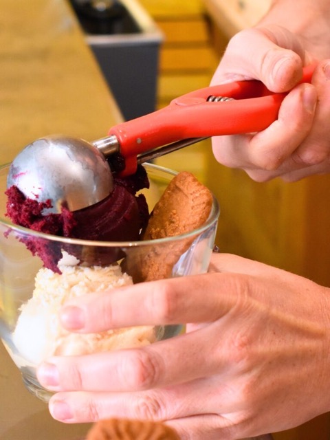 L’Atelier du Flamant Rose